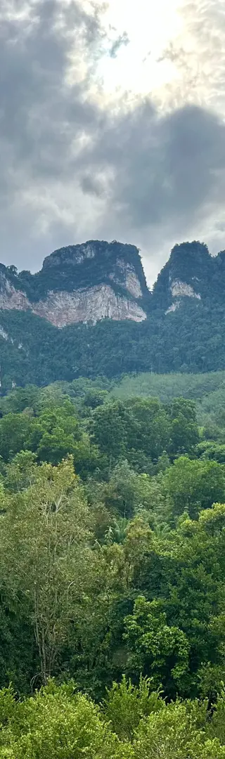Abenteuer im Khao-Sok-Nationalpark
